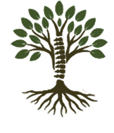 Sacramento Auto Accident Injury Chiropractic a dept. of Capital Chiropractic