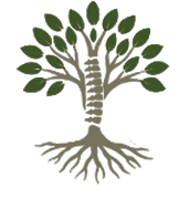 Sacramento Auto Accident Injury Chiropractic a dept. of Capital Chiropractic